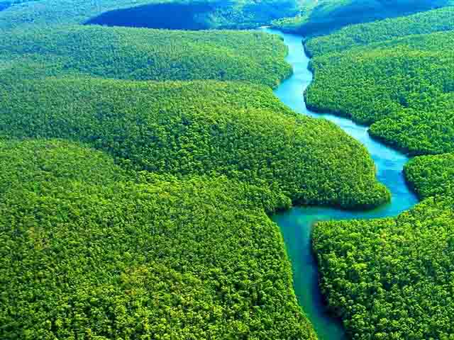 The Amazon River of South America is the world's largest river and the lifeblood of the world's largest ecosystem, spanning two-fifths of an entire co...