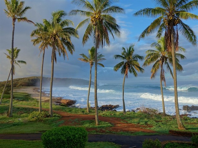 Not all the Hawaiian Islands have been developed at the same pace. Molokai is one of the least developed, but most scenic, island in the state. Known ...
