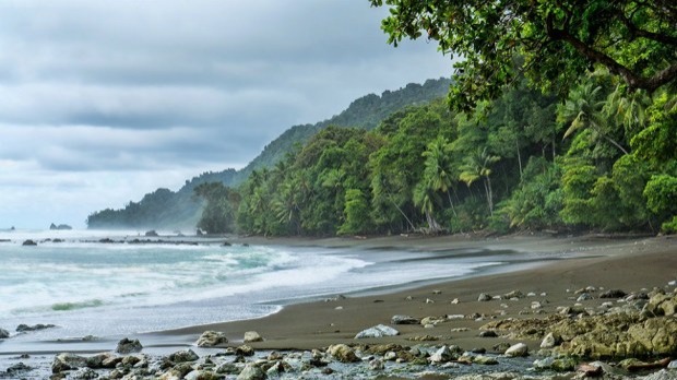 CORCOVADO NATIONAL PARK, COSTA RICA The National Park of Corcovado, located on the Osa Peninsula in Costa Rica’s southwest corner, is one of the most intense biological places on e...