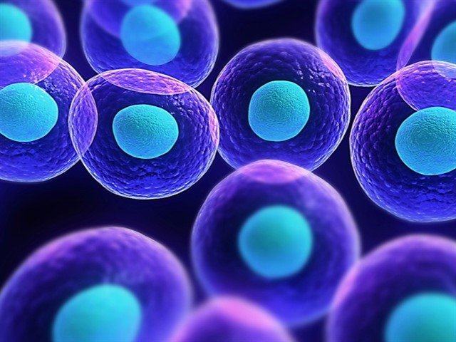Stem cell isolation This was a groundbreaking and hugely complex invention – and has been crucial to our understanding of cancer. Ann Tsukamoto is a co-patentee of ...