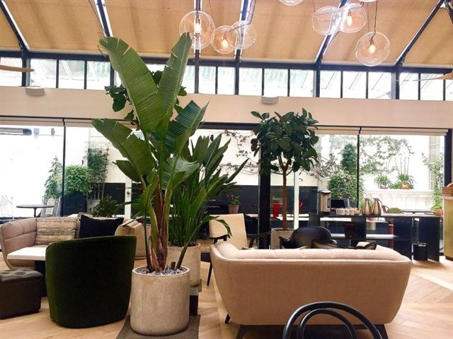 Tanya's A raw cafe that offers food based mainly on the processes of sprouting, soaking and dehydrating - the thing that really makes Tanya's stand out on the...