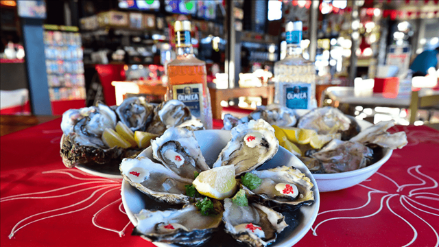 Knysna for oysters When visiting the beautiful Garden Route town of Knysna oysters are on the menu. Have them as is or covered in hot sauce and lemon juice, Knysna has l...