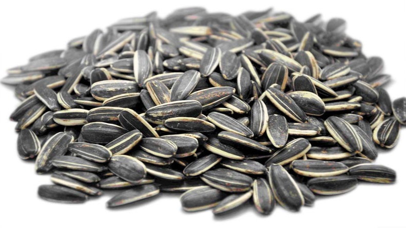 One of the most bewildering Spanish habits for foreigners is Spaniards’ addition to sunflower seeds, or pipas. Spaniards seem to be born with th...