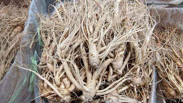 Ginseng (rénshÄ“n, 人å‚) This gnarled rhizome is perhaps one of the best known of the Chinese herbs. The name literally translates to “human root” because the shap...