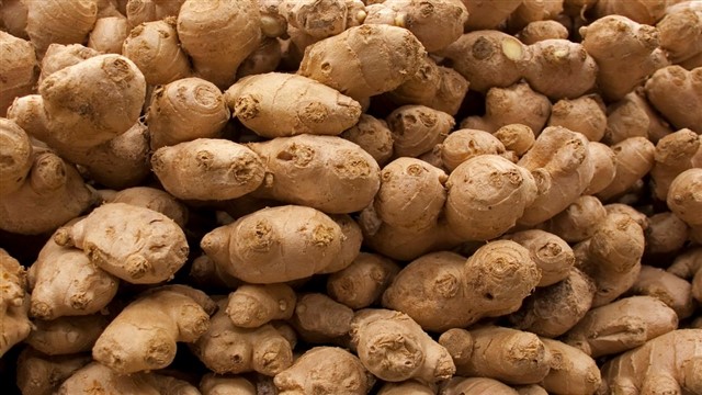 Ginger (shÄ“ngjiÄng, 生姜) This spicy rhizome is said to benefit digestion, neutralize poisons in food, ventilate the lungs and warm circulation to the limbs. Today, ginger is c...
