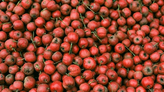 Hawthorn berries (shÄnzhÄ, 山楂) Though best known as the primary ingredient of the much beloved haw flake candies, hawthorne is actually a common ingredient used in traditional Chine...