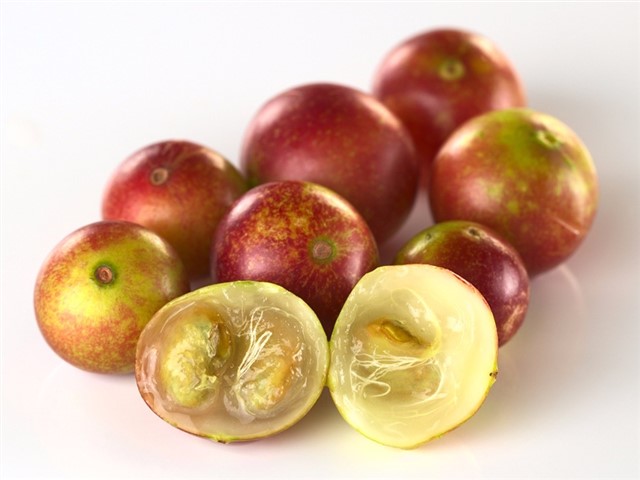 Camu Camu Camu camu has been called the new acai berry by those in the know. Why? This small fruit, somewhere between a grape and a lemon, contains more Vitamin...