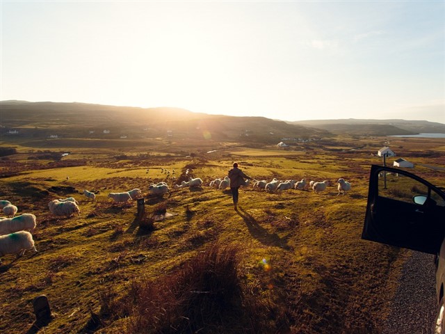 Scotland Scotland boasts castles, lochs, mountains, wildlife, and even the Northern Lights if you’re in the right place at the right time. The country is...