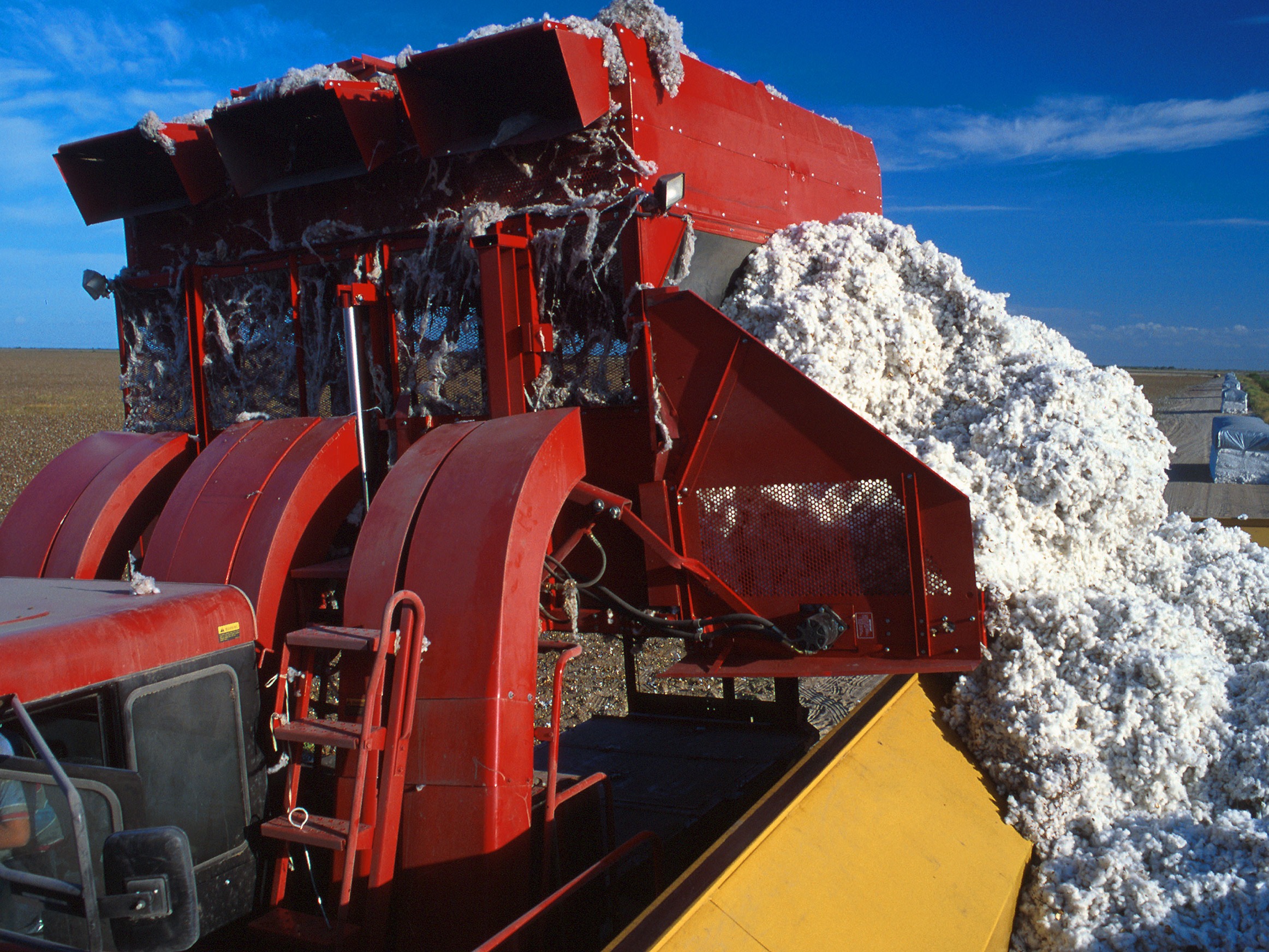 United States Cotton Production in Thousand Metric Tonnes: 3,553