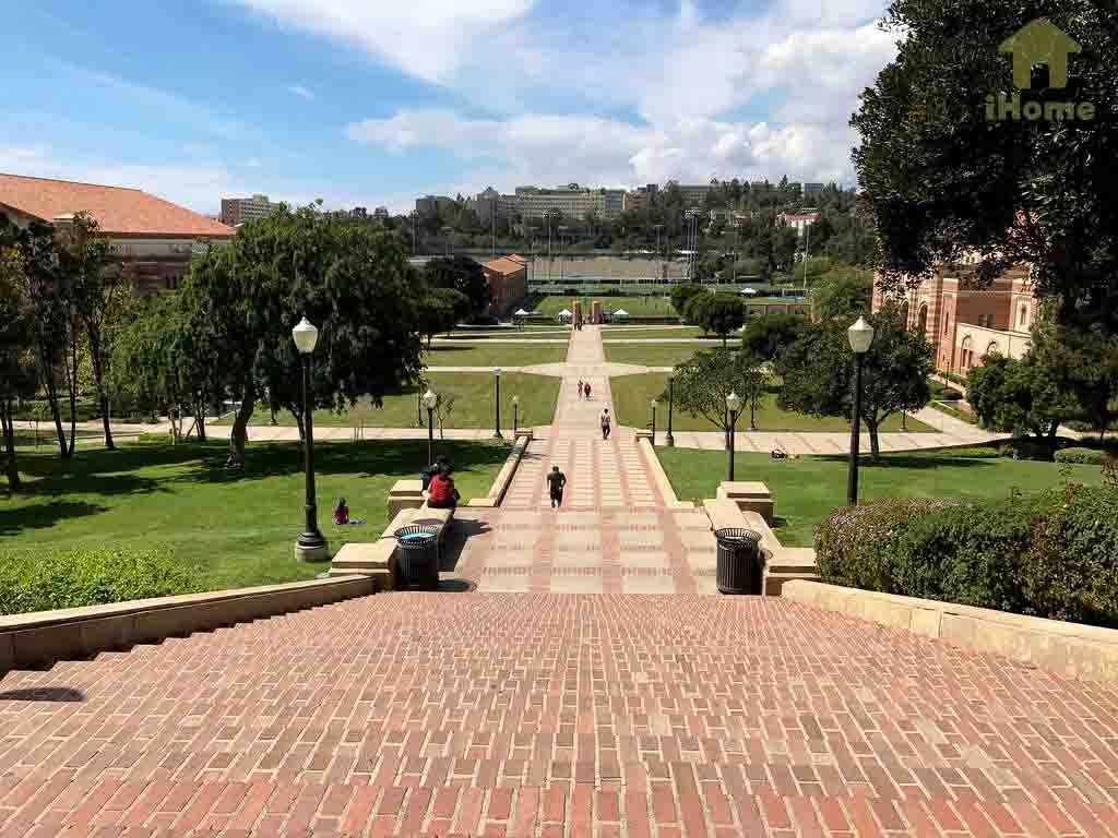 UCLA Angels and Demons, American Pie 2 and Legally Blonde got their acceptance letters to the infamous Southern California campus.