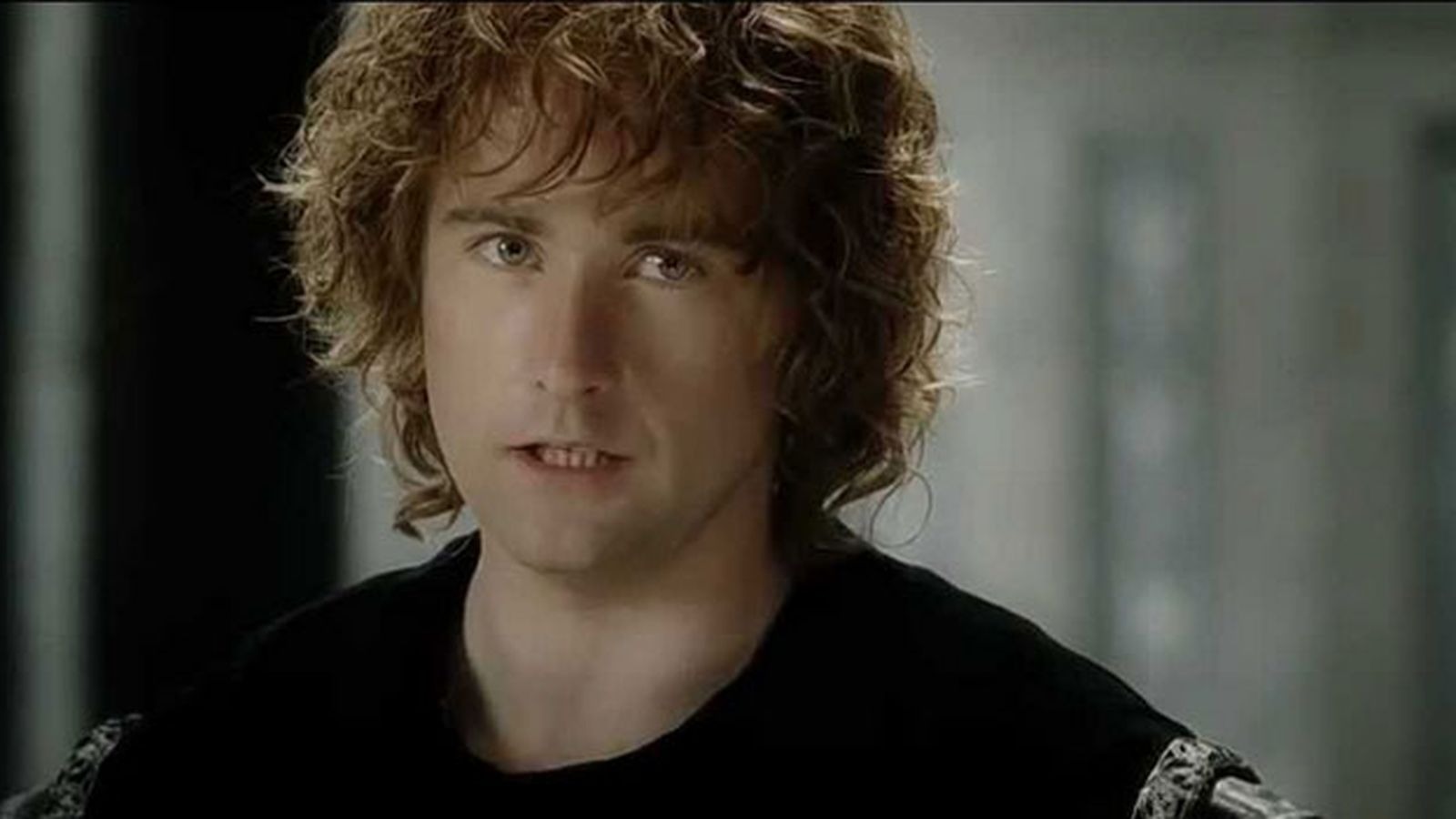 Pippin Pippin