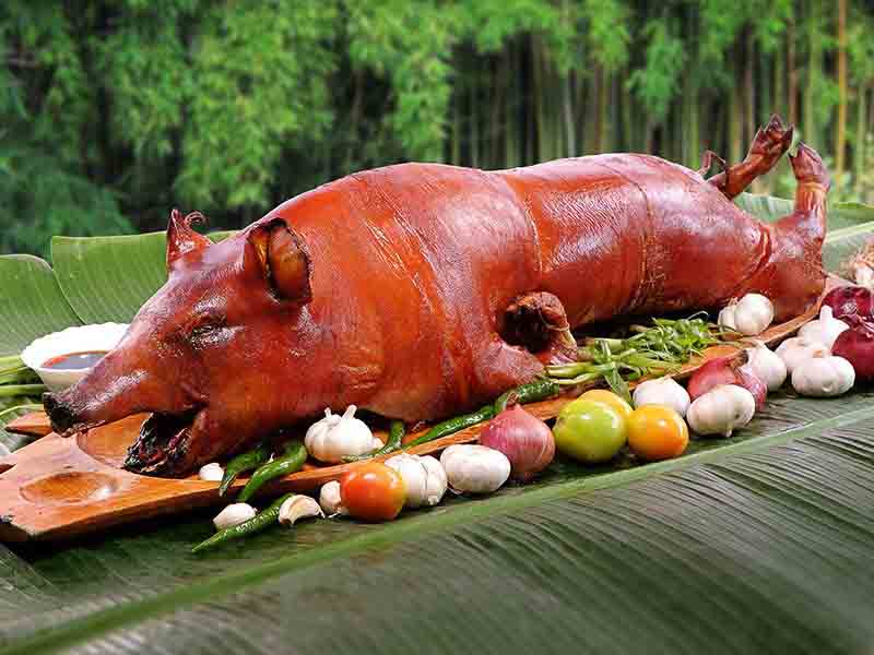 Lechon Lechón in Spanish or Leitão in Portuguese is a pork dish in several regions of the world, most specifically in Bairrada, Portugal and Sp...