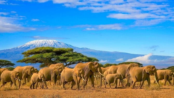 Mount Kilimanjaro or just Kilimanjaro ( /ËŒkÉªlÉªmÉ™nËˆdÊ’É‘ËroÊŠ/),[7] with its three volcanic cones, 