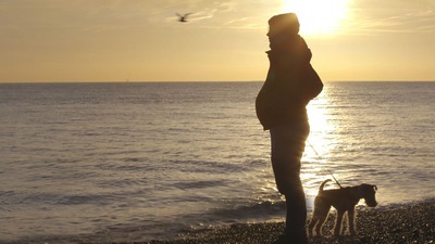 Seahorse Director Jeanie Finlay charts a transgender man’s path to parenthood after he decides to carry his child himself. The pregnancy prompts an unexp...