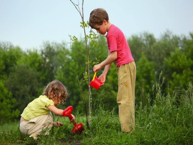 Plant a Tree It might sound like a bit of a cliche, but planting trees is by far one of the most important gifts we can give back to the planet and to ourselves. G...